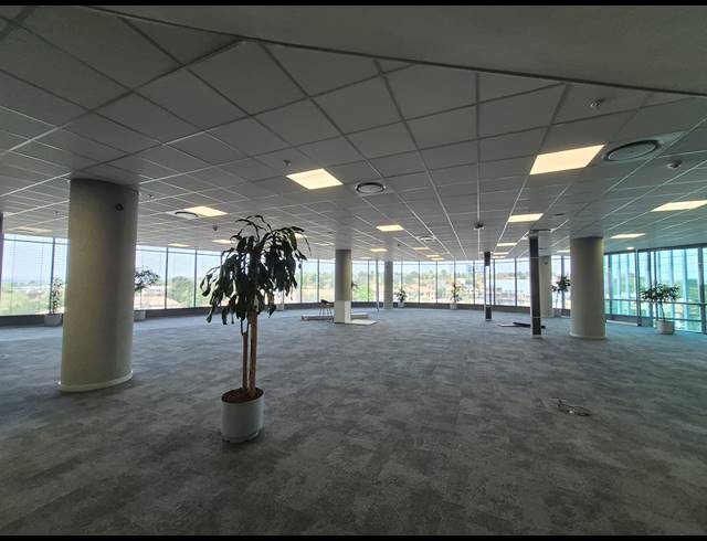 4,000M² OFFICE TO LET IN SANDTON CENTRAL